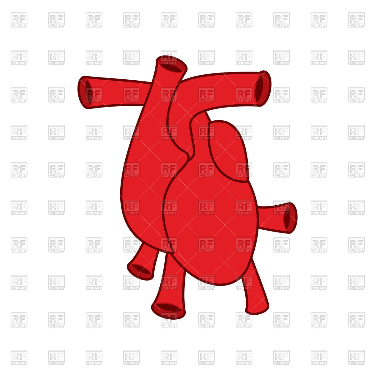 1200x1200 Heart Icon, Atria And Ventricles, Anatomy Royalty Free Vector Clip