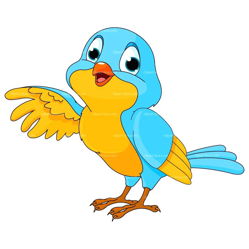 800x800 Free Pictures Of Birds In Addition To Bird Free Clip Art Parrots