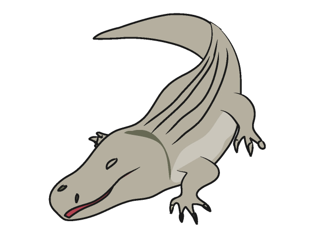 640x480 Crocodile Alligator Clip Art Animals Illustration Free