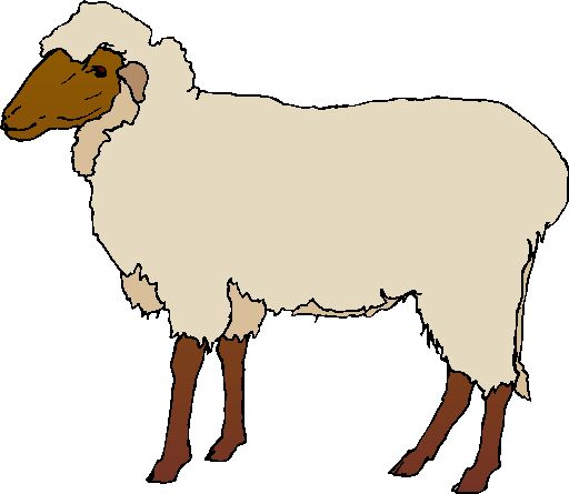 512x445 Colored Sheep Clipart Amp Colored Sheep Clip Art Images