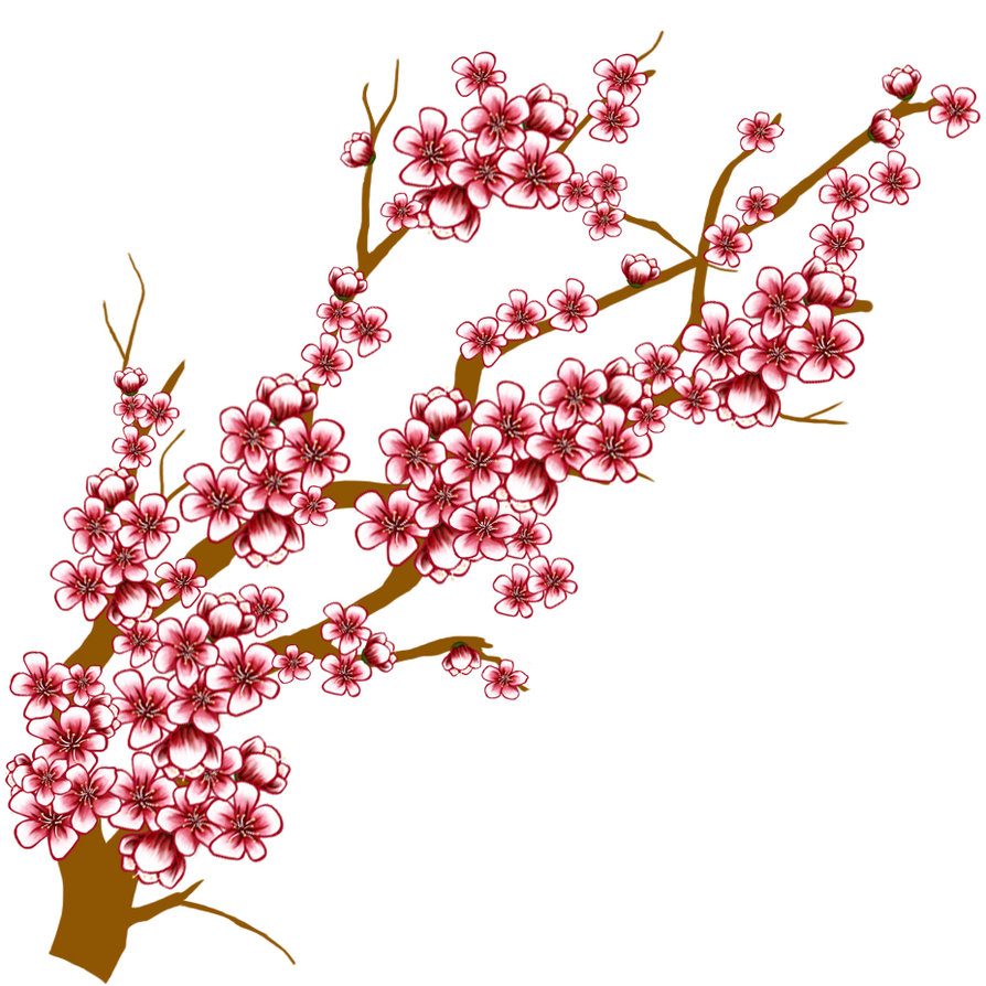894x894 Japanese Cherry Blossoms Clipart