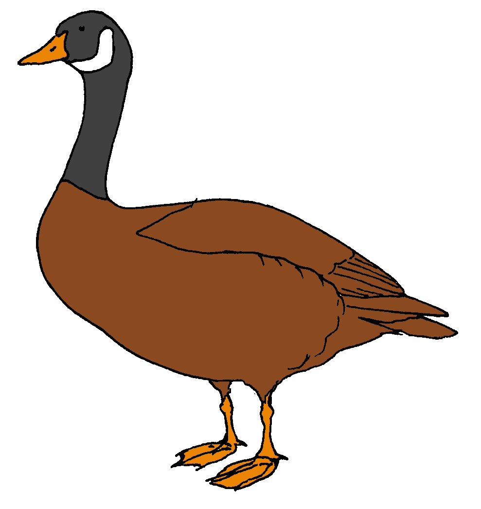 989x1046 Top 78 Goose Clipart