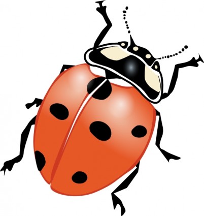 402x425 Insect Clipart Clipart Panda