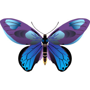 300x300 Free Butterfly Clip Art Free Collection Download And Share Free