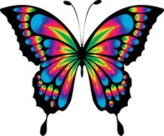 236x196 Free Pictures Of Butterflies