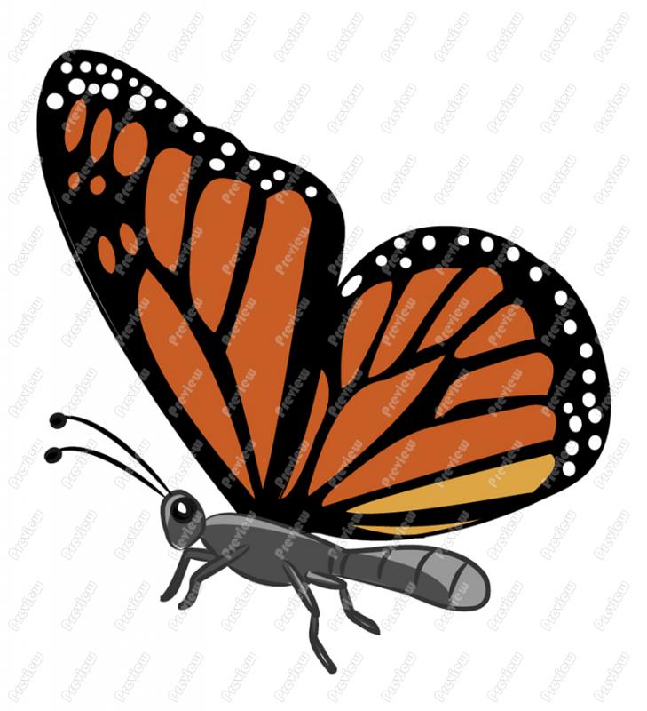 729x800 Monarch Butterfly Clipart Free Download Clip Art
