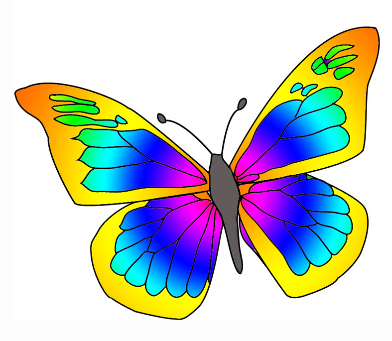 787x685 Top 81 Butterfly Clipart