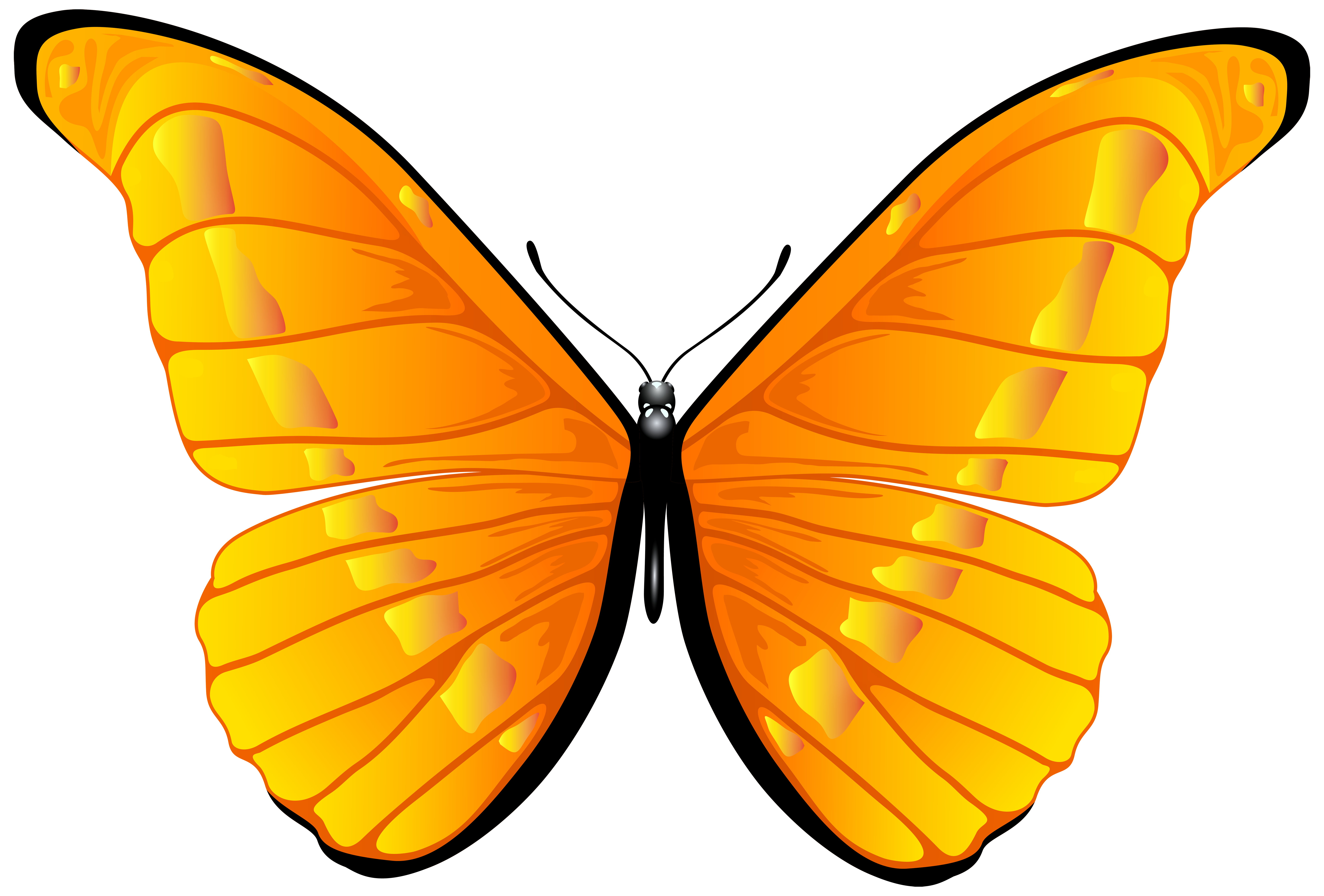7000x4739 Orange Butterfly Png Clip Art Imageu200b Gallery Yopriceville