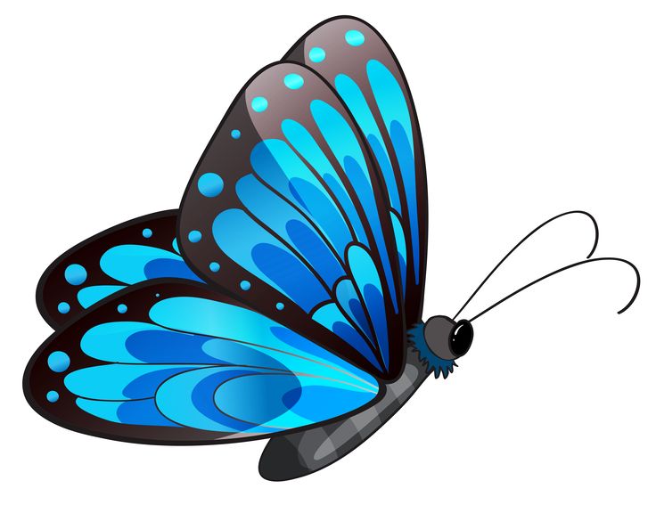736x567 Butterflies Free Clipart