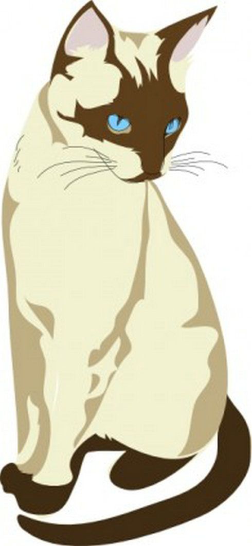 490x1062 Gatto Cat Clip Art 4 Free Vector Download