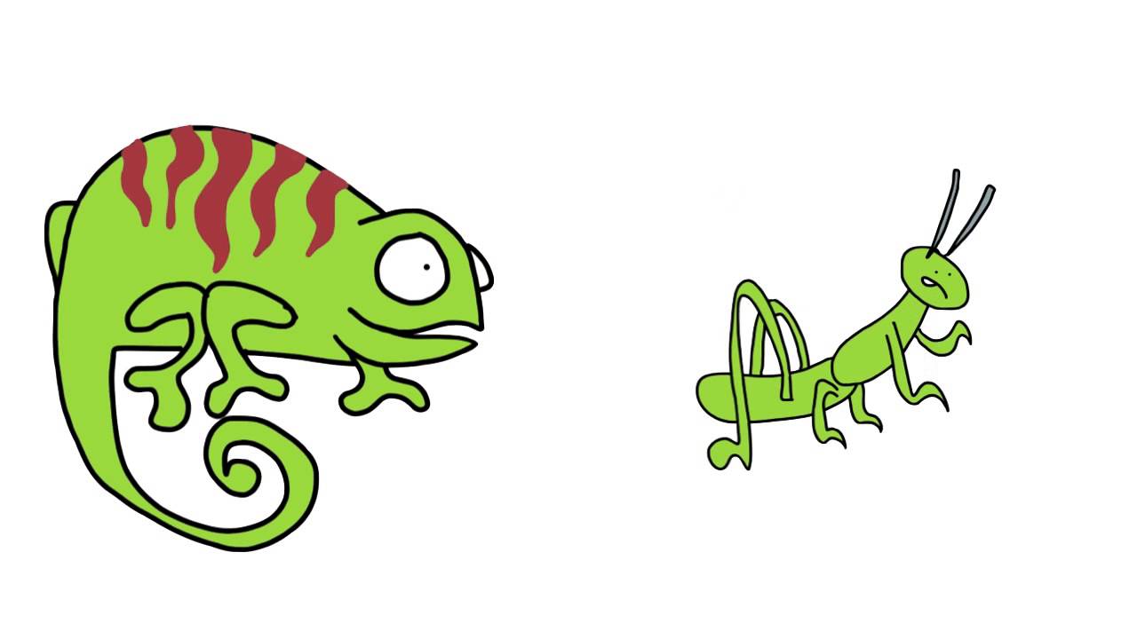 1280x720 Adaptation Clipart Free Download Clip Art On Animal