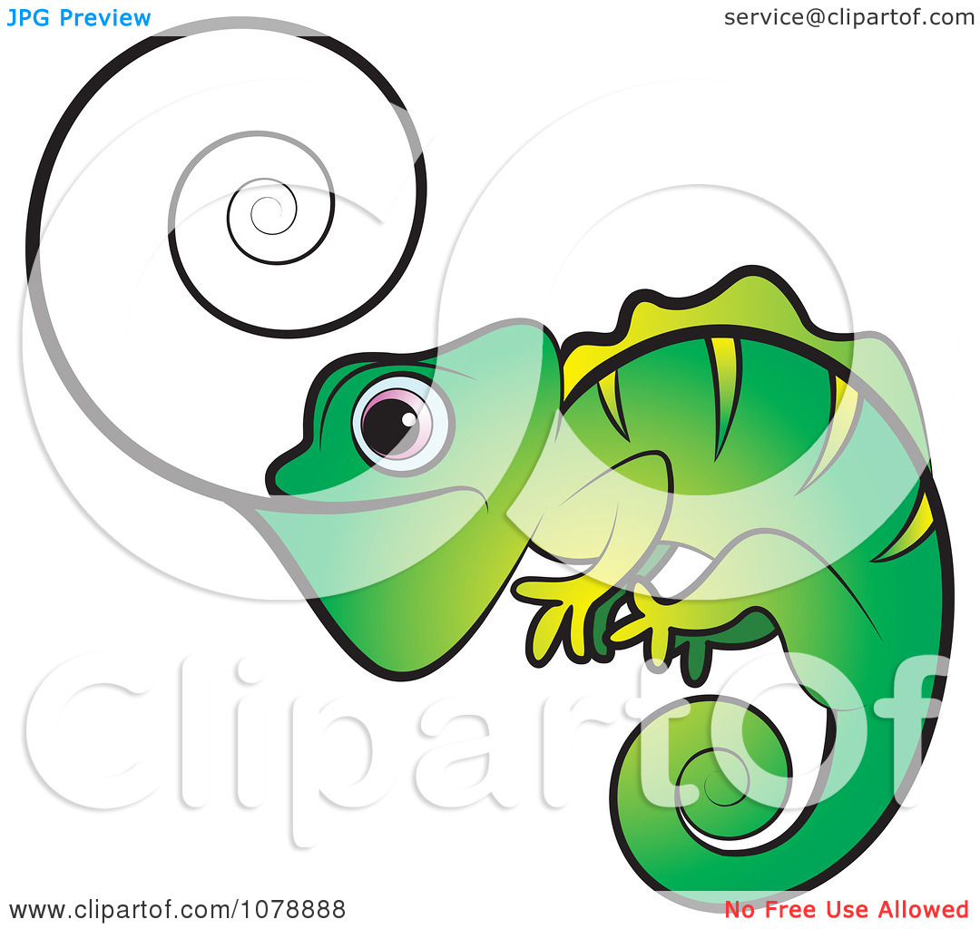 1080x1024 Clip Art Chameleon Clip Art