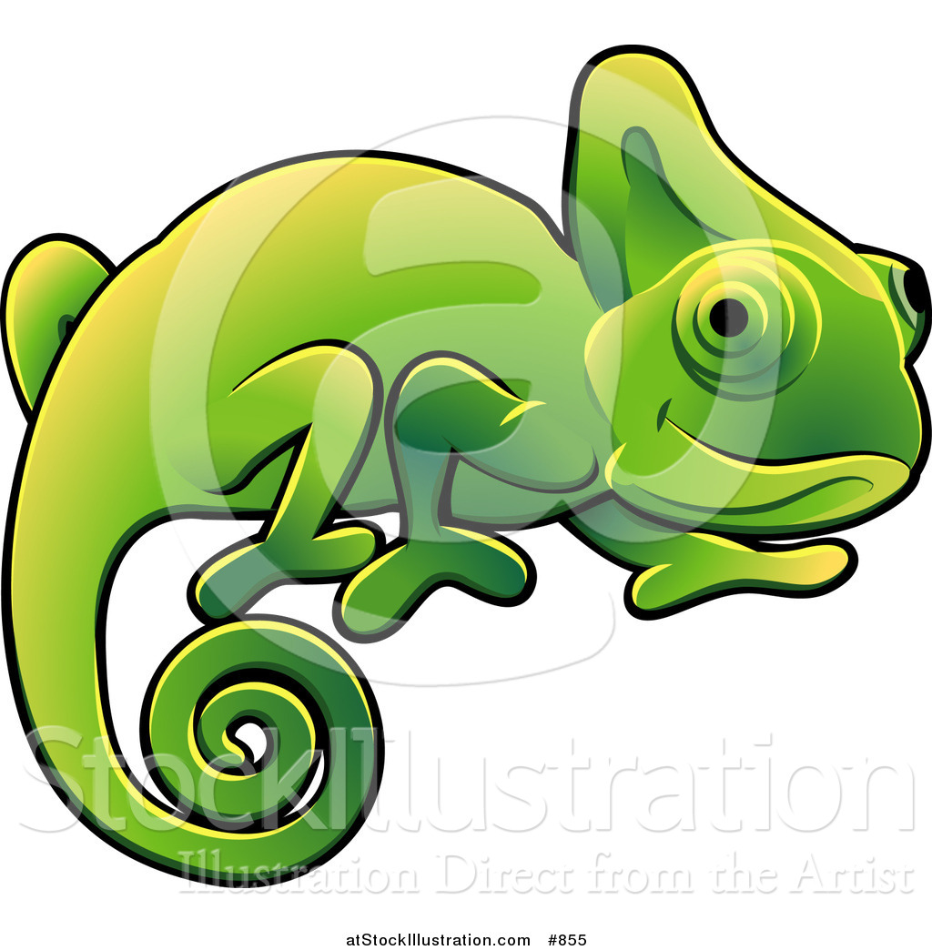 1024x1044 Vector Illustration Of Happy Green Chameleon Lizard