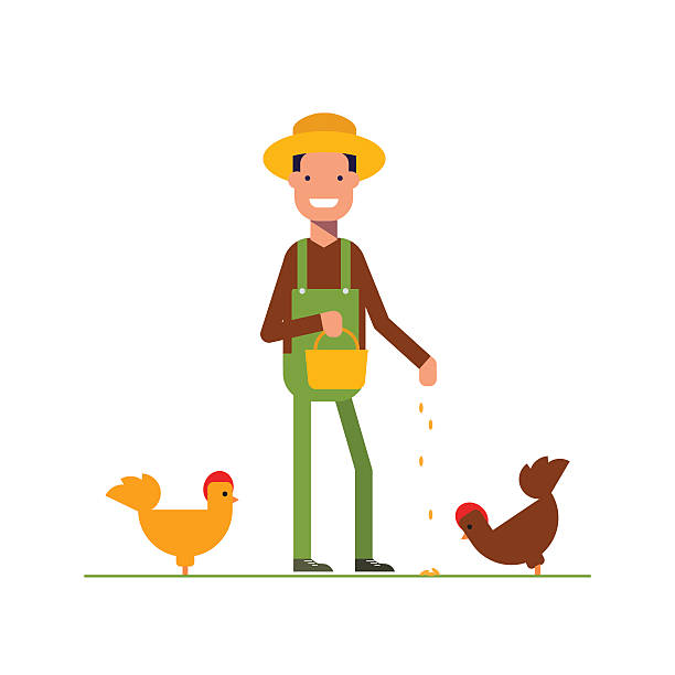 612x612 Collection Of Chicken Feed Clipart High Quality, Free