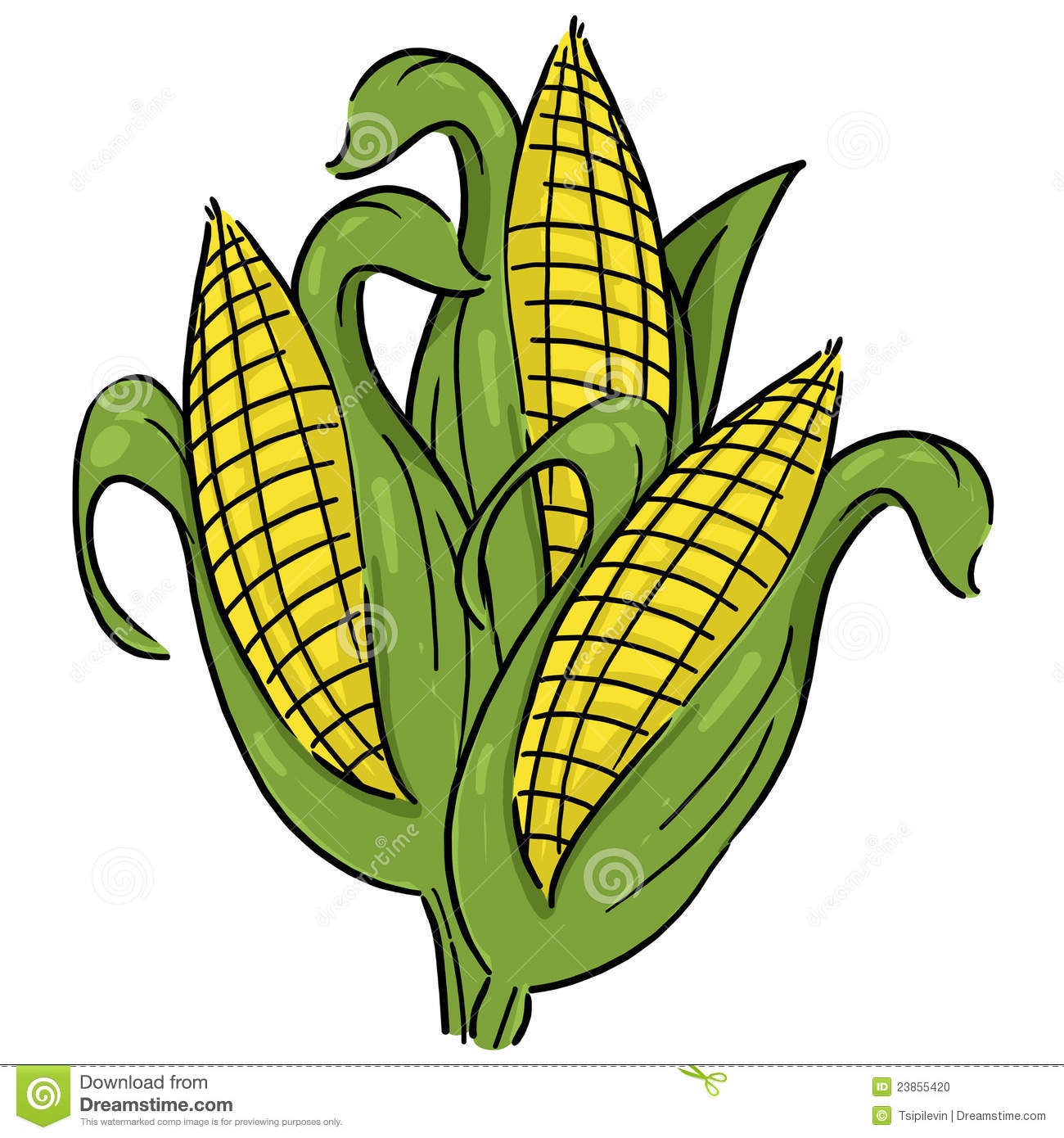 1300x1390 Ear Of Corn Clipart