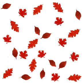 285x286 Clip Art Autumn Nature Borders Clip Art Autumn Leaves Pictures