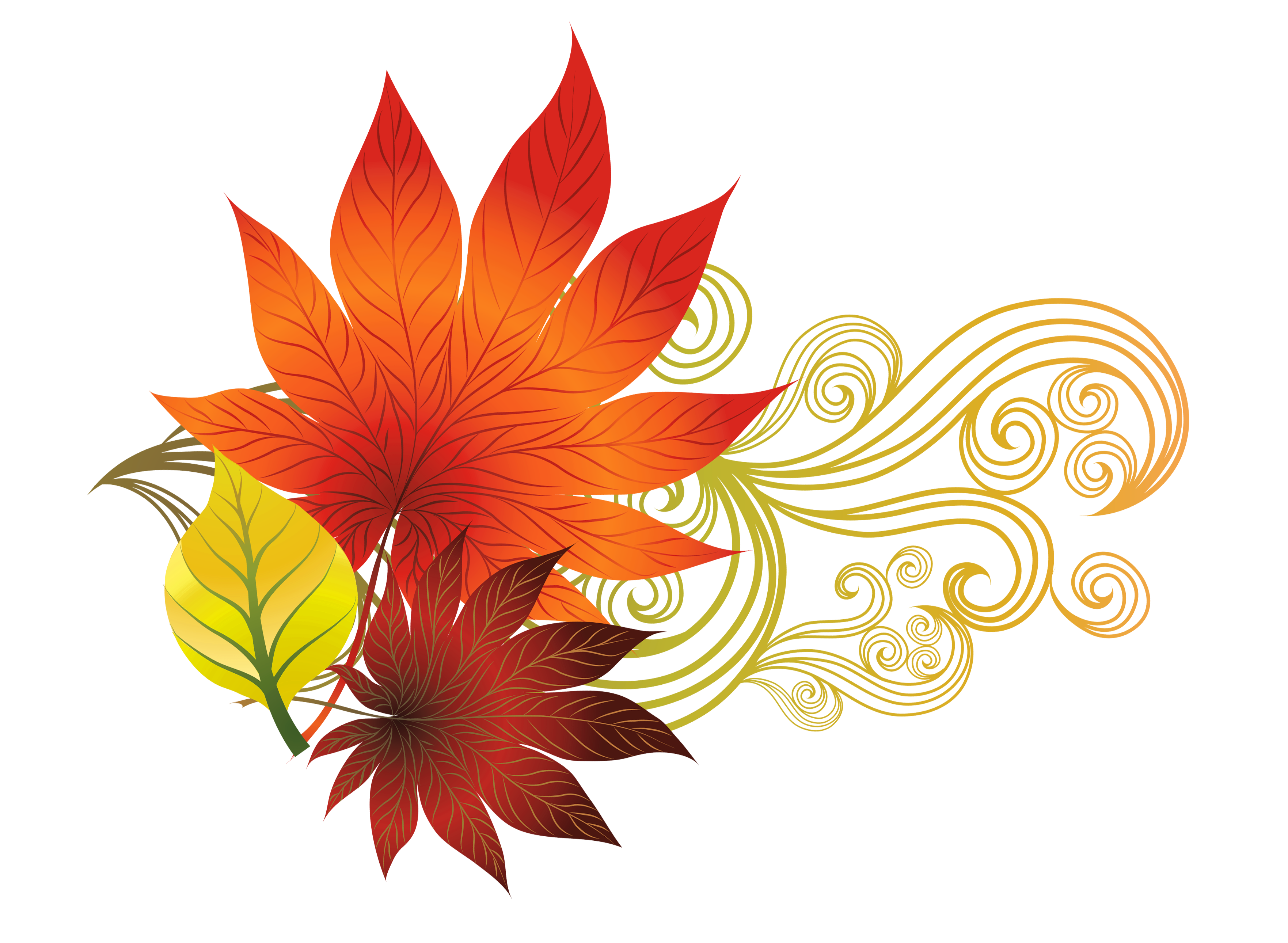 3525x2581 Fall Leaves Leaves Pumpkin Leaf Clip Art Free Clipart Images 2
