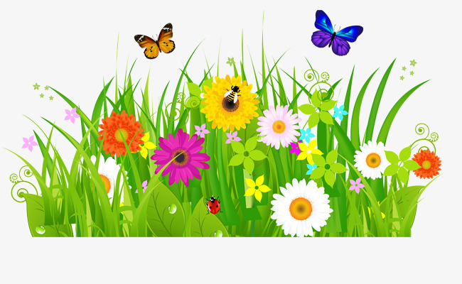 650x400 Bushes, Flowers, Butterflies, Flower, Butterfly, Weed Png Image