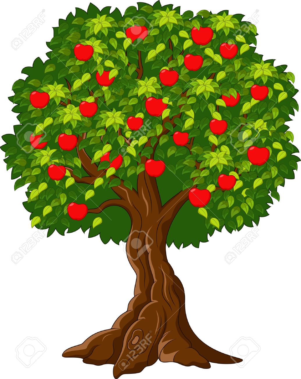 1035x1300 Cartoon Picture Of A Tree Sevimlimutfak