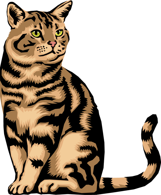 555x675 Free Kitten Clipart Pictures
