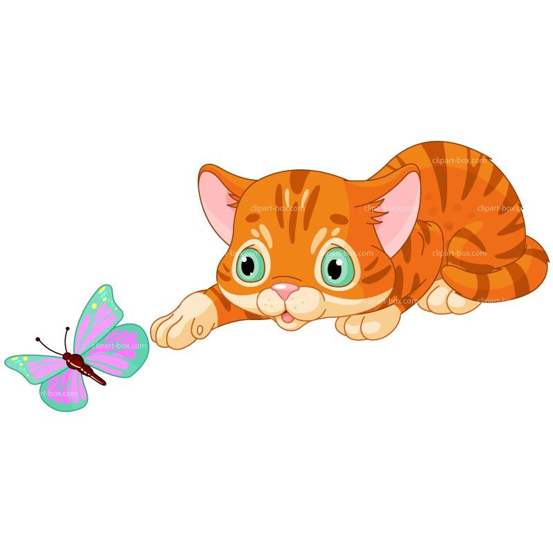 800x800 Clipart Kitten Playing With Butterfly Royalty Free Vector Design