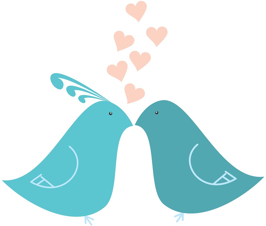 848x720 Collection Of Love Birds Clipart Buy Any Image And Use It