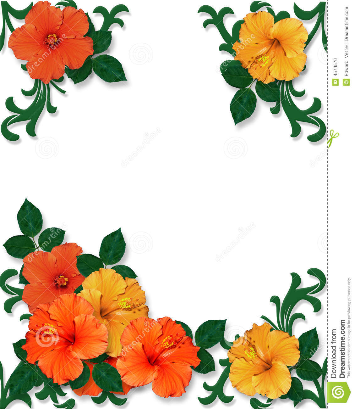1130x1300 Hawaiian Flower Clip Art Borders Clipart Panda Free Images Lovely