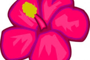 343x228 Flower Images Clip Art Free