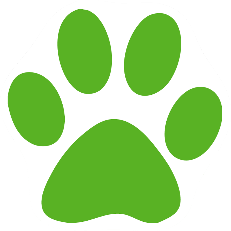 800x800 Dog Paw Print Clip Art Cliparts