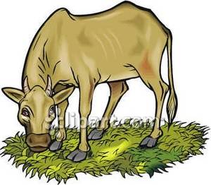 300x262 Grazing Clip Art Clipart Collection