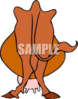 275x350 Picture Of The Back End Of A Cow In A Vector Clip Art Illustration