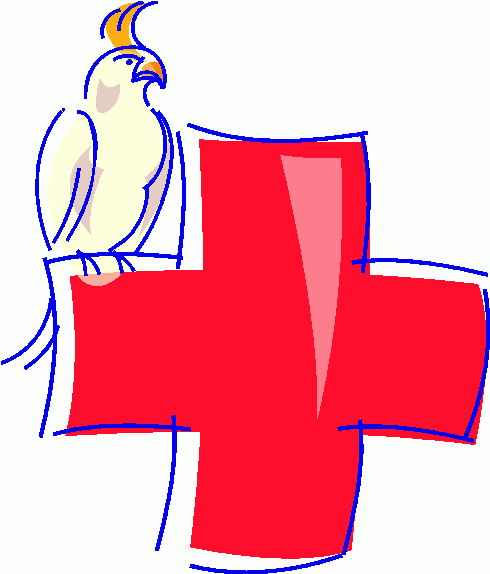 490x574 Clip Art Red Cross Clipart 6