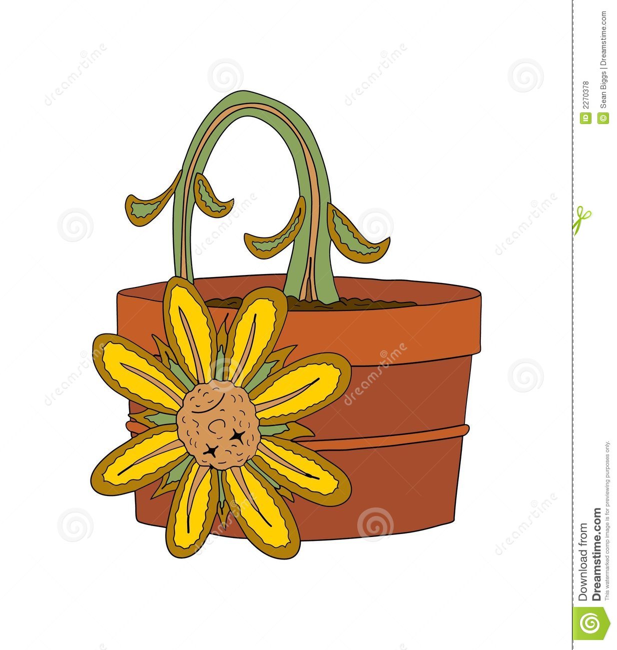 1233x1300 Dead Flower Clipart
