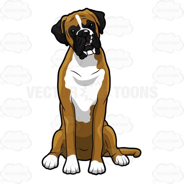 600x600 Image Of Boxer Dog Clipart