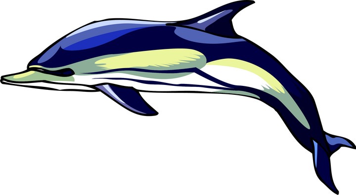 720x395 Dolphin Clipart Free Dolphin Clipart Clipart For Teachers