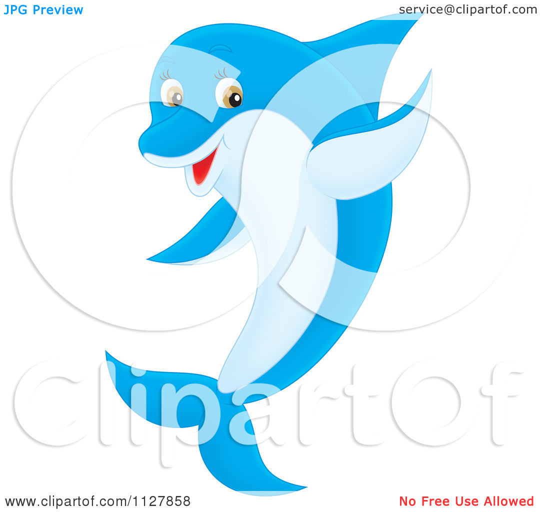1080x1024 Cartoon Dolphin Clipart Cartoon Dolphin Clipart Backgrounds