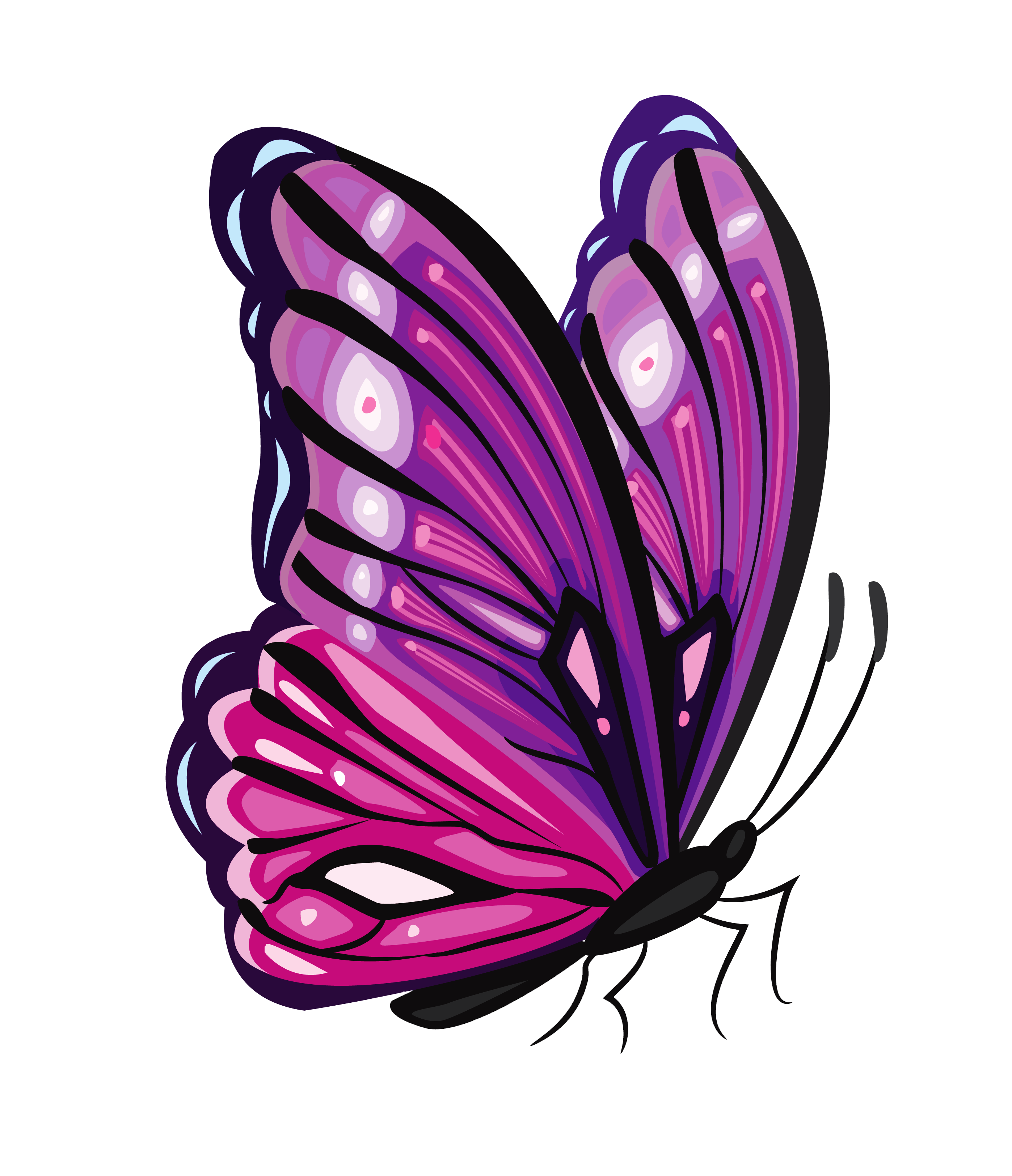 2796x3251 Purple Butterfly Png Clipart Pictureu200b Gallery Yopriceville