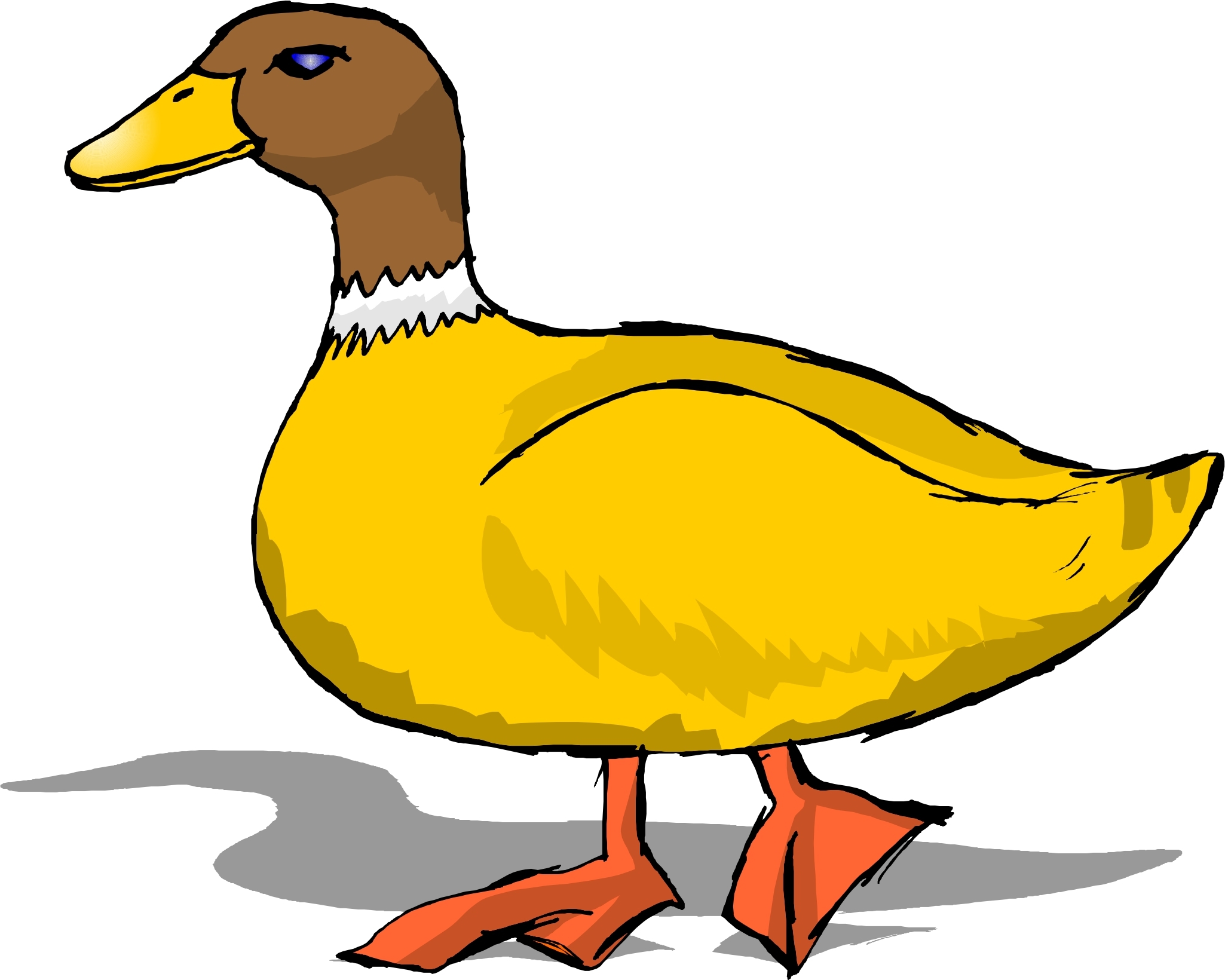 2050x1640 New Ducks Clipart Collection