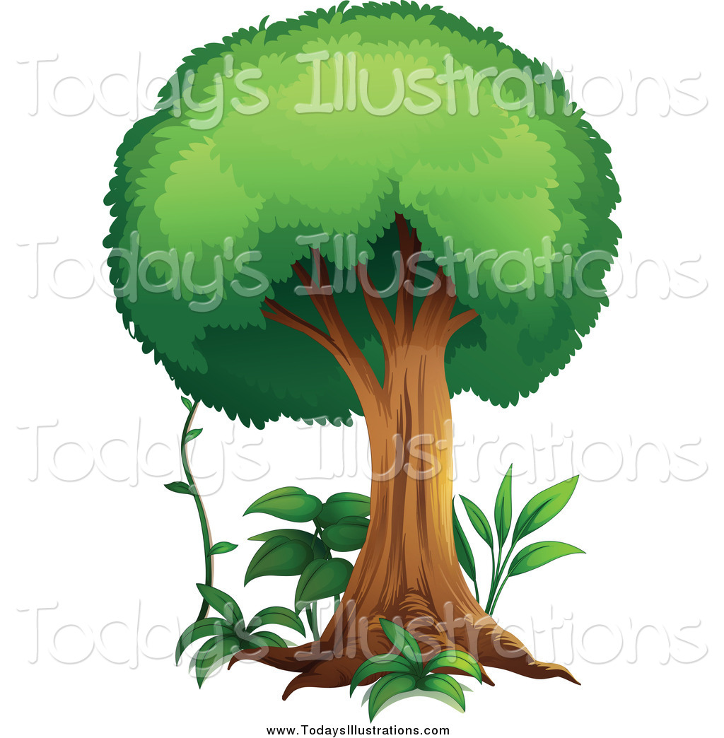 1024x1044 Forest Clipart