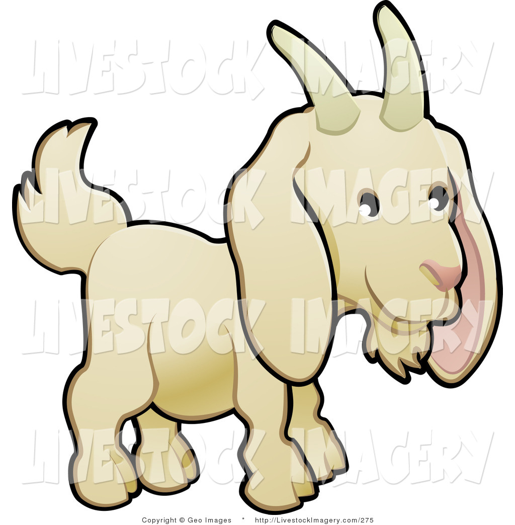 1024x1044 Royalty Free Farm Animal Stock Livestock Designs