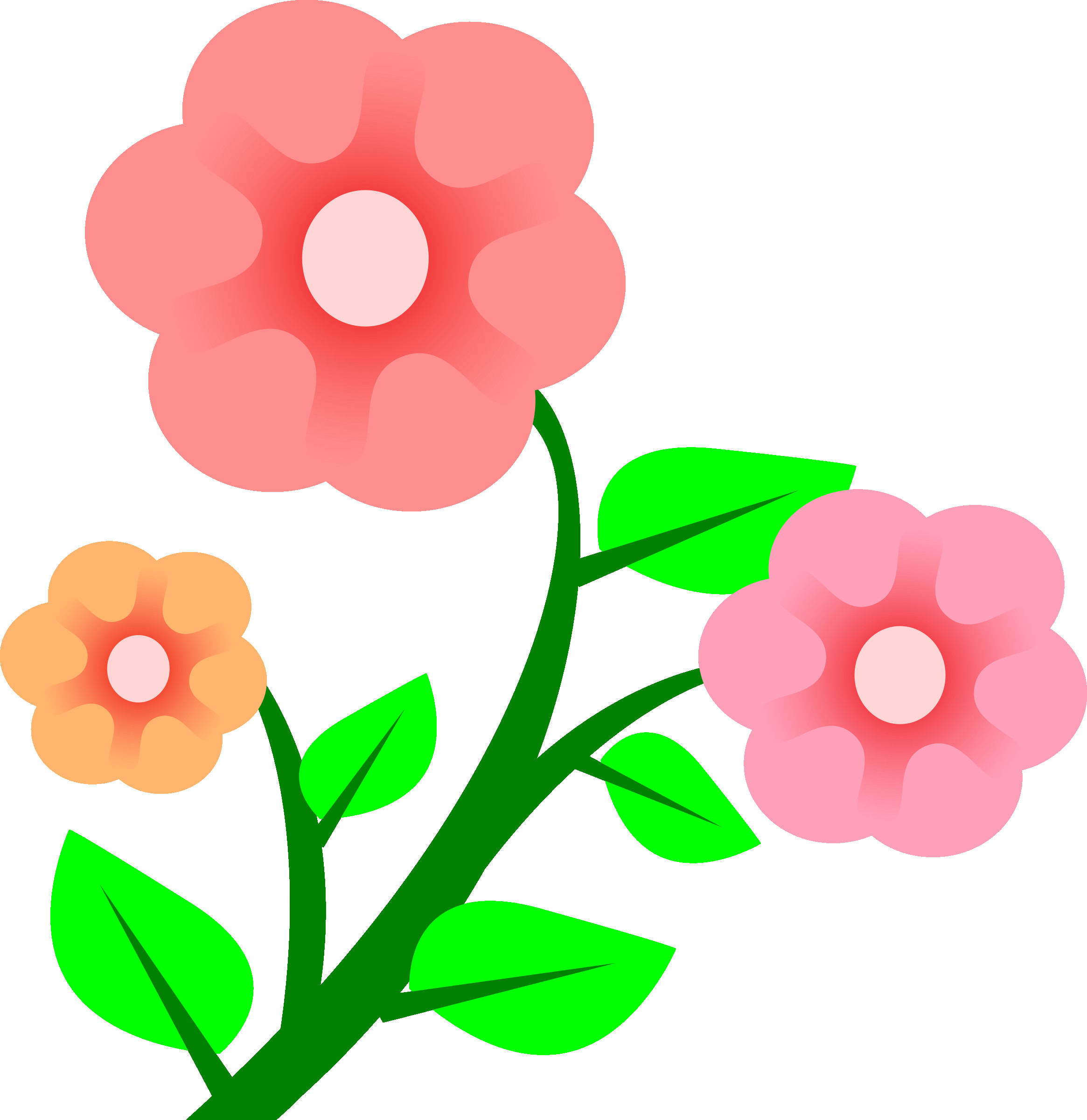 2330x2400 Valuable Flower Cartoon Pictures Clip Art Three Forget Me Not