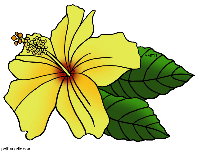 648x490 Hawaiian Flower Clip Art