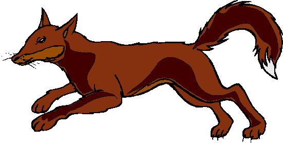 551x278 Baby Fox Clip Art