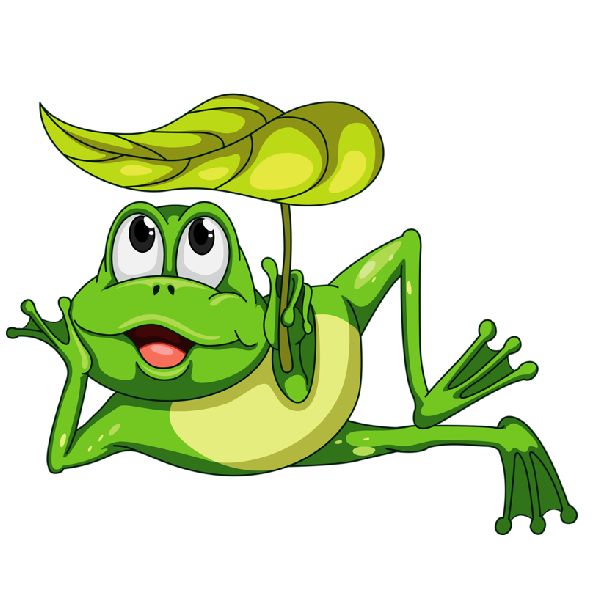 600x600 722 Best Images On Frogs, Cute Frogs And Frog Art