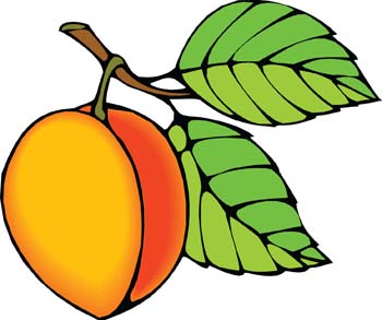 350x293 Peach Clipart Image Clip Art Library