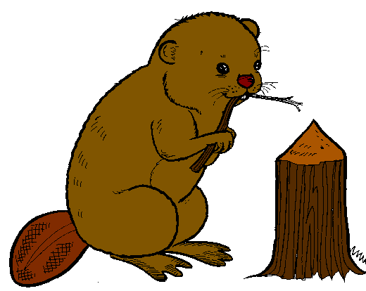 520x414 Beaver Clipart Animated
