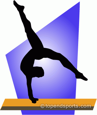 314x372 Gymnastics Clip Art Clipart Panda