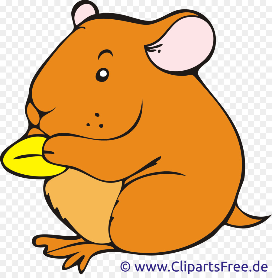 900x920 Your Hamster Clip Art