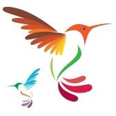 168x168 Pin Hummingbird Clip Art Royalty Free Cartoon Stock Image