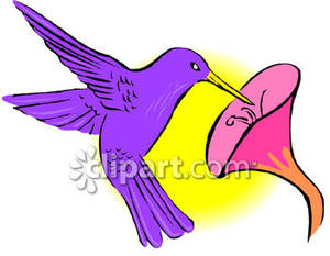 300x233 Purple Hummingbird